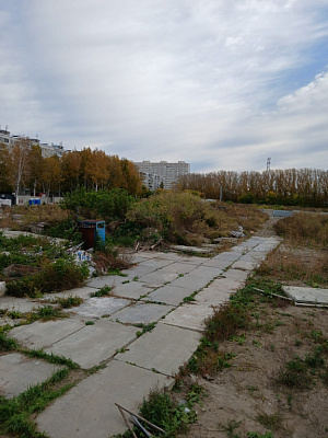 Расцветай на Зорге