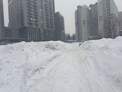 Ньютон Апартментс
