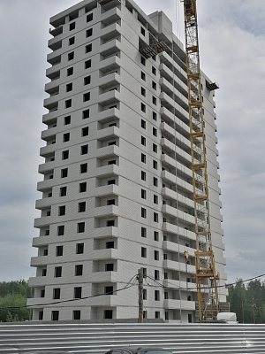г. Брянск, Проспект Московский