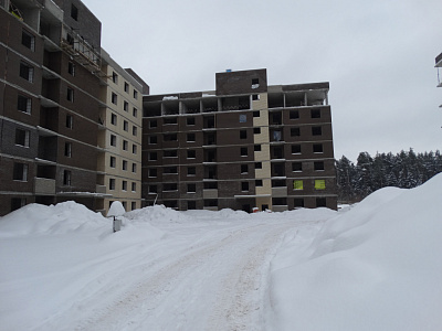 МО, Рабочий поселок Монино