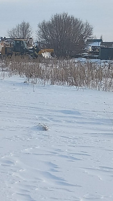 Город-парк