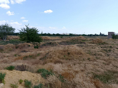 Село Красная Зорька
