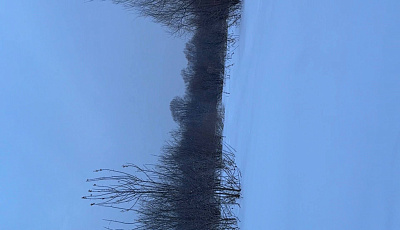 село С Новолуговое