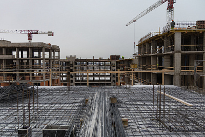 Брусника в Новоселье