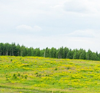 Новинки 