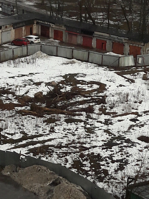 Макаринская роща