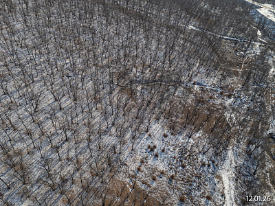 Квартал Нейбута