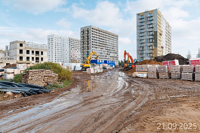 Парголово