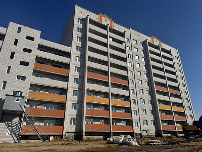 Деревня Новосельцы