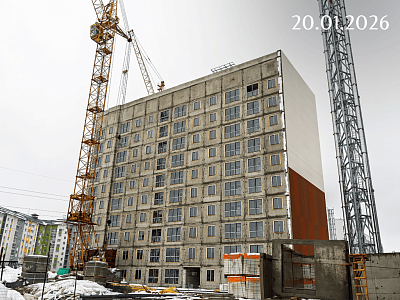 Инстеп.Бабяково