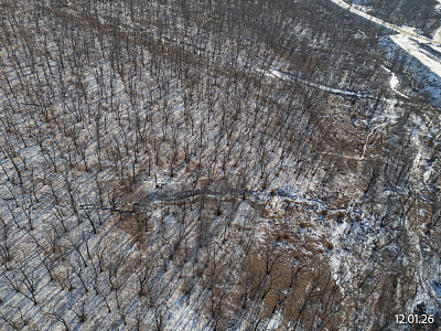 Квартал Нейбута