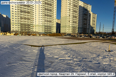 Цветной город