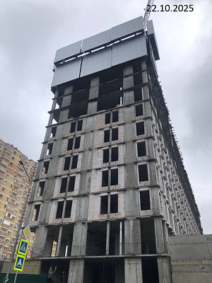 Платон Парк поз 1
