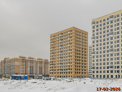 Янинский лес