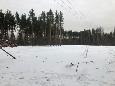 Эко Квартал НЕГА
