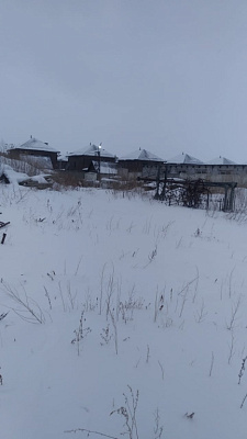 Расцветай на Зорге