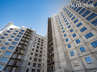 Инстеп.Бабяково