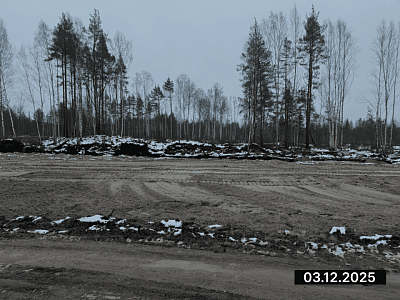 ЛО, г. Всеволожск