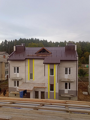 г. Новозыбков, Улица РОС
