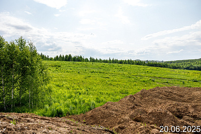 Новинки