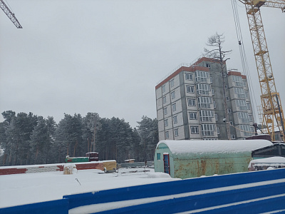 Поселок городского типа Барсово, Улица Сосновый Бор