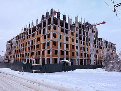 Северное Сияние Премиум