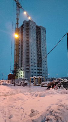 г. Калуга, Д.Чижовка