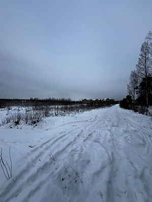 ЛО, г. Кингисепп