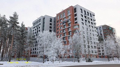 ВЕРЕН НОРТ СЕРТОЛОВО 
