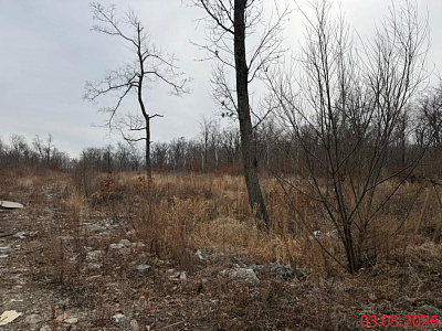 Жилой комплекс АНЮТИНСКИЙ