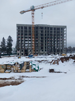МО, Поселок городского типа Радумля, район ММС-2