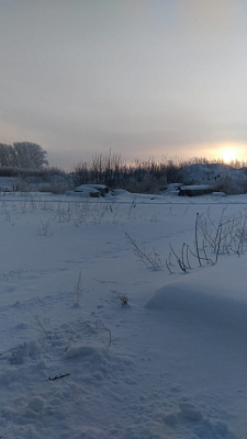 Расцветай на Зорге