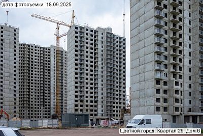 Цветной город