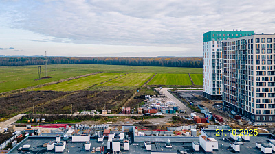 ЛО, Деревня Новосаратовка