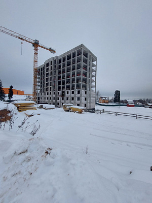 МО, Поселок городского типа Радумля, район ММС-2