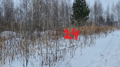 г. Бердск