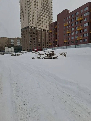 Синица на Куйбышева