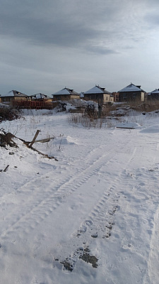 Расцветай на Зорге
