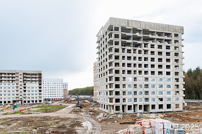 Новоселье