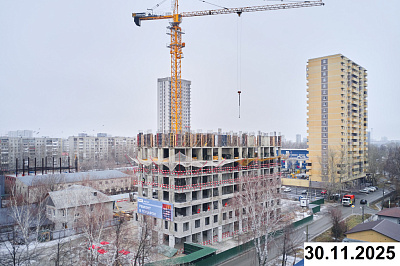 ТОЛК МЕДНЫЙ