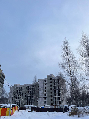 г. Ярославль, Улица Дядьковская
