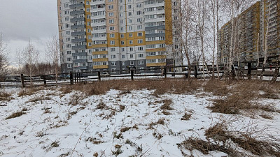 Расцветай в Солнечном