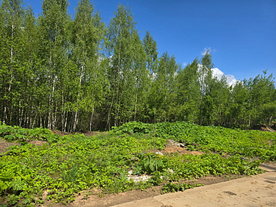 Павлово-3, дом 26 (корп.4)