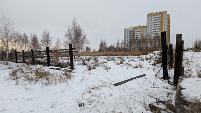 Расцветай в Солнечном