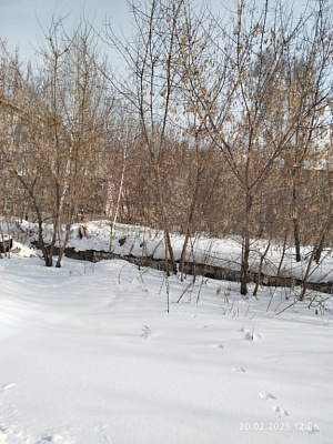 г. Новосибирск