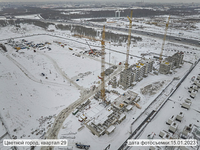 Цветной город