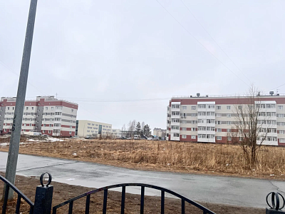 Глава 11