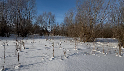 село С Новолуговое