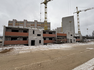 Деревня Новосельцы