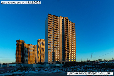 Цветной город